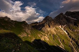 Itálie Dolomity květiny a hory červené