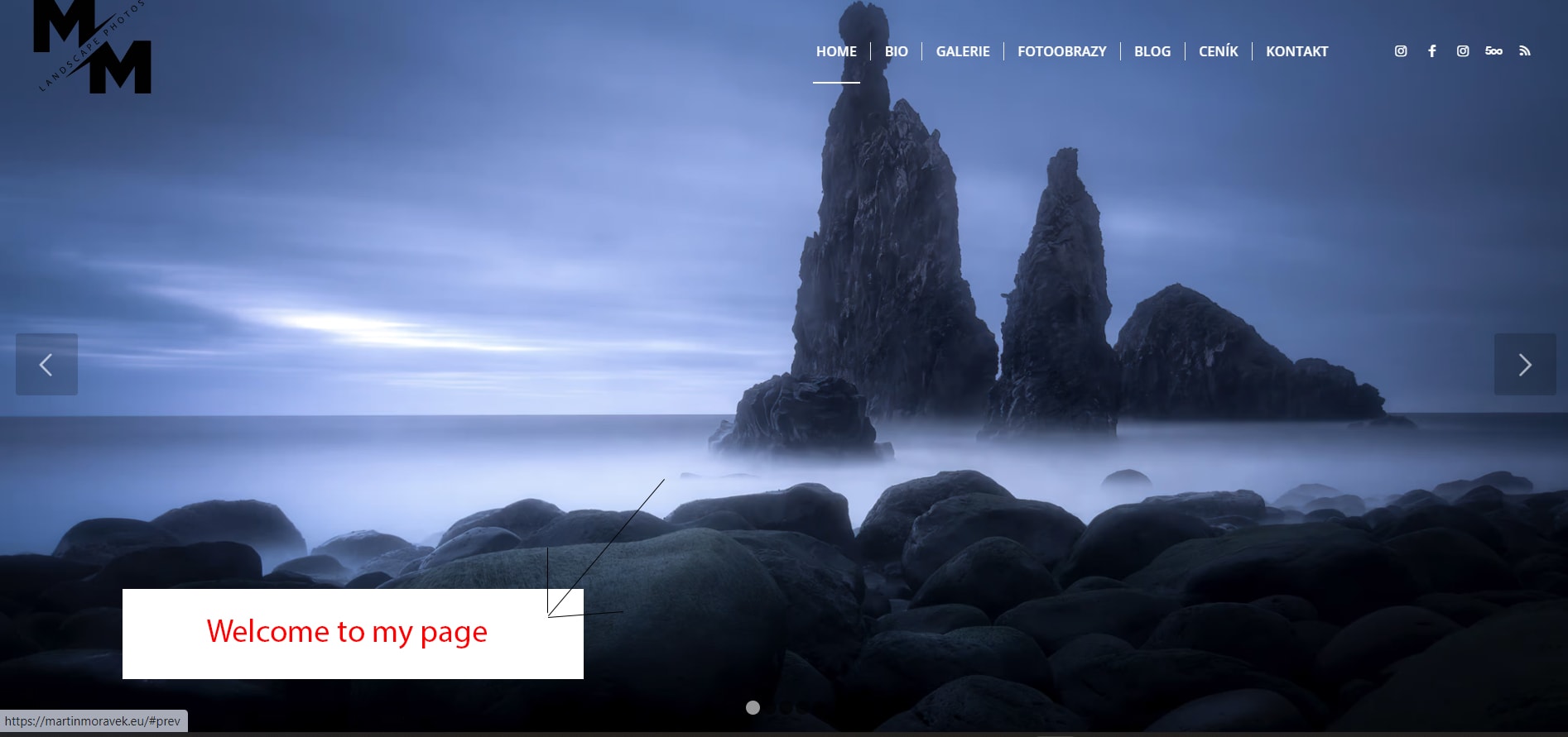 image of homepage