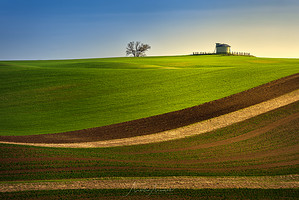 Česko pole zelená krajina