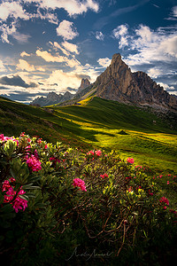 Itálie Dolomity hory a louka květiny