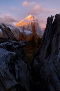 Itálie Dolomity hory a les v mlze