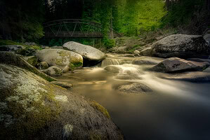 Šumava most potok v lese
