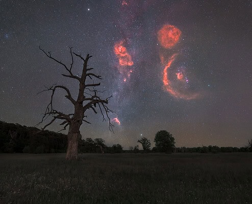 Polsko strom a obloha noční scéna orion